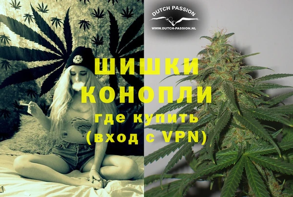 эйфоретик Каменногорск