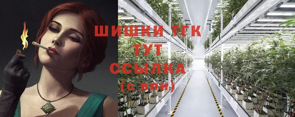 эйфоретик Каменногорск
